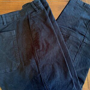 Everlane Utility Barrel Pant